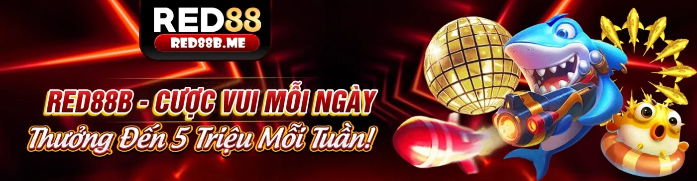 88kim web Ưu đãi và Khuyến mãi độc quyền